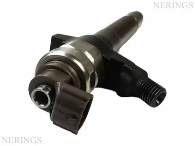 Diesel injectors remanufactured -Nērings