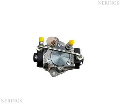 Diesel-Hochdruckpumpe restauriert 294000-1010 (Denso-R)-Nērings