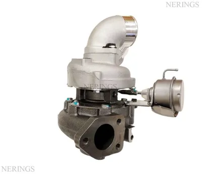 Turbolader-NRGS