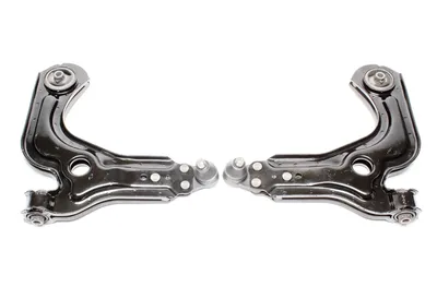 Set de huesos pequeños Ford · Mazda