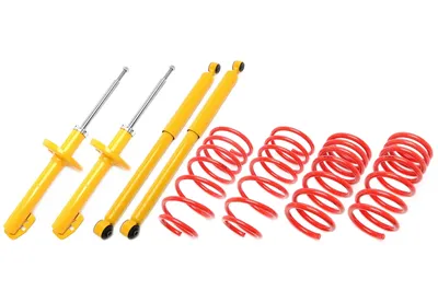 Suspensión deportiva Ford