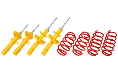Suspensión deportiva Ford