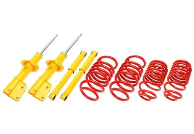 Suspensión deportiva Nissan